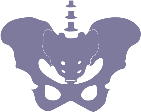 Websiteiconspelvis-06 - Emblem (1000x1000), Png Download