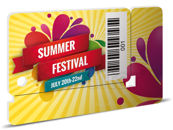 Anverso Tarjeta De Pvc Minicard Posición Horizontal - Mount View Primary School Carnival (750x500), Png Download