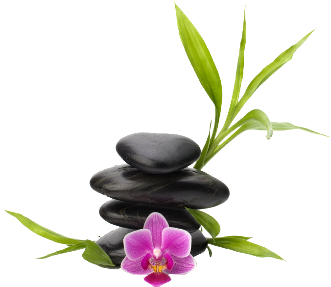 About Us - Orchid Spa Png (689x596), Png Download