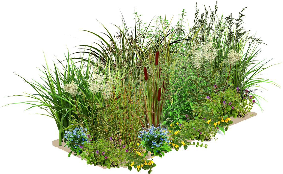 Increased Waterfront Value - Sweet Grass (1920x1080), Png Download