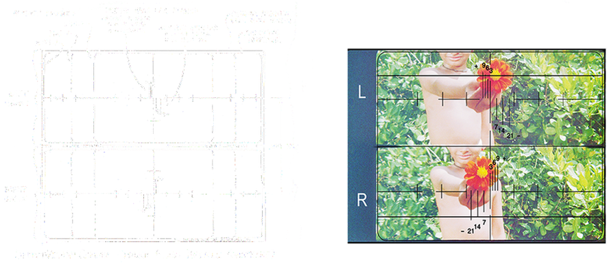 Reticle - Garden Roses (911x386), Png Download