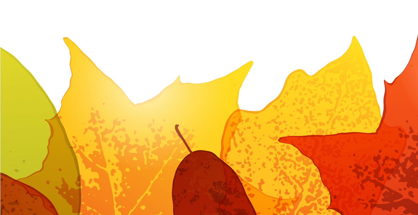 15 Fall Border Png For Free Download On Mbtskoudsalg - Illustration (1368x855), Png Download
