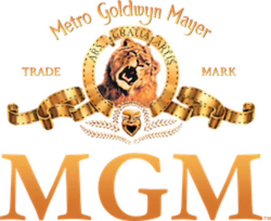 Metro Goldwyn Mayer Logo (880x718), Png Download