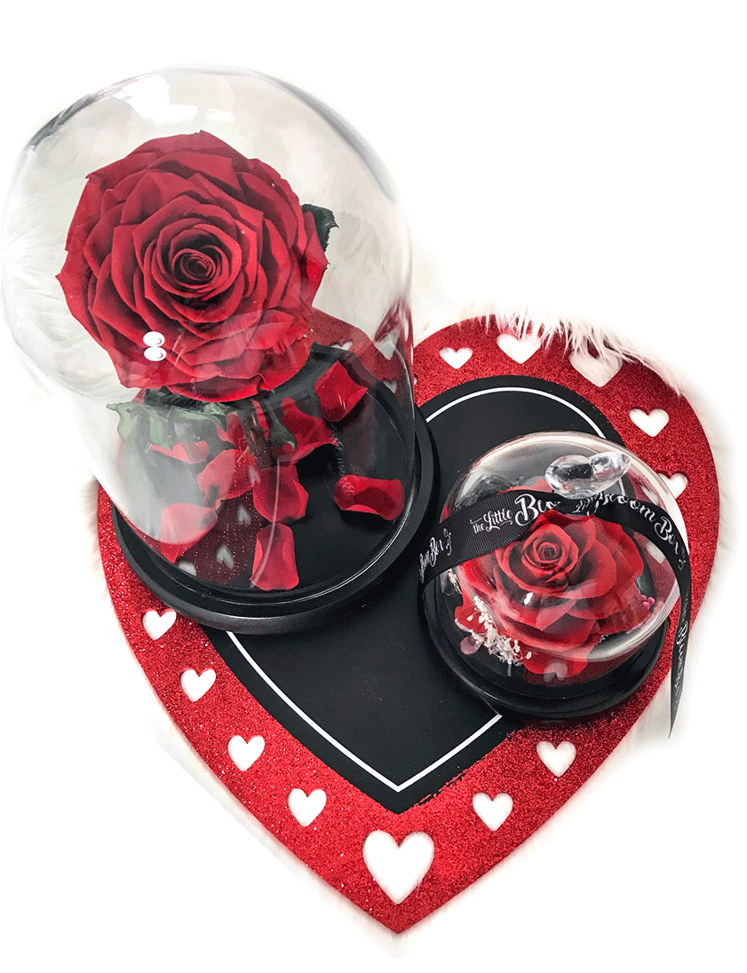 No Beast - Garden Roses (900x1133), Png Download