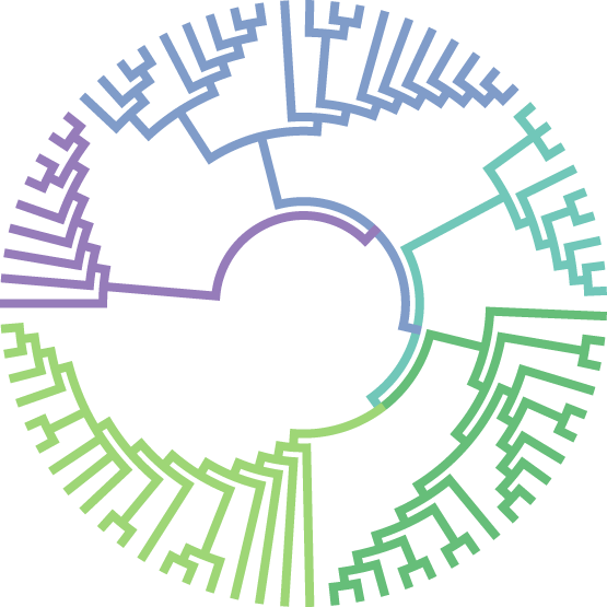 Molecular Evolution (555x555), Png Download
