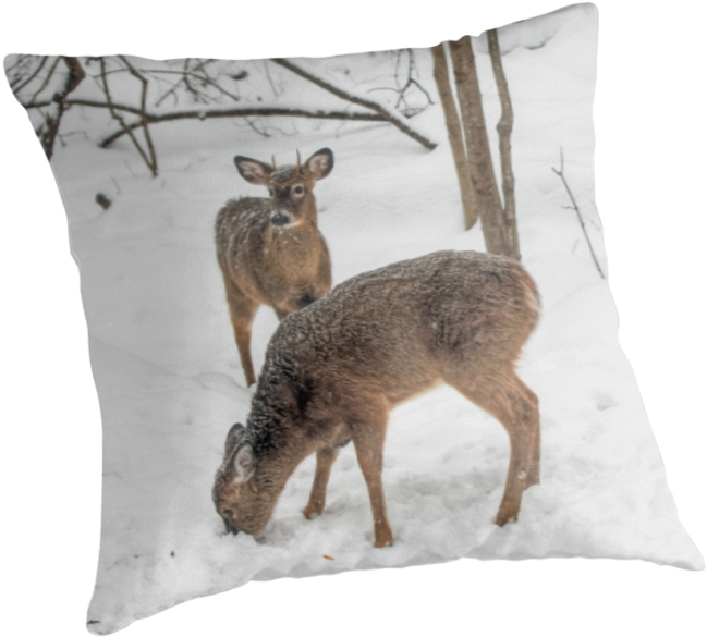 Cushion (875x875), Png Download