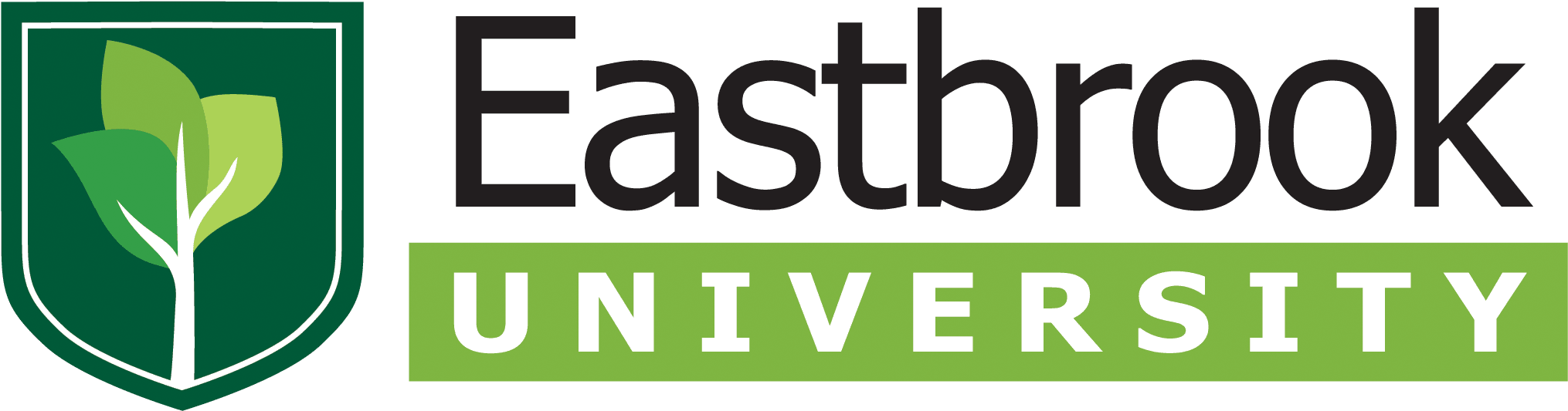 Eastbrook Energy Efficiency - Graphics (2352x849), Png Download