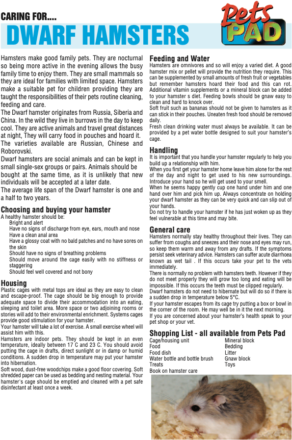 Brown Hamster (674x953), Png Download