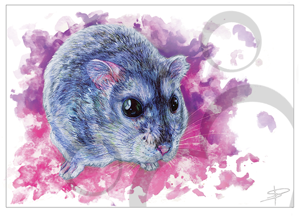 Watercolour Ink Hamster - Marsh Rice Rat (591x591), Png Download
