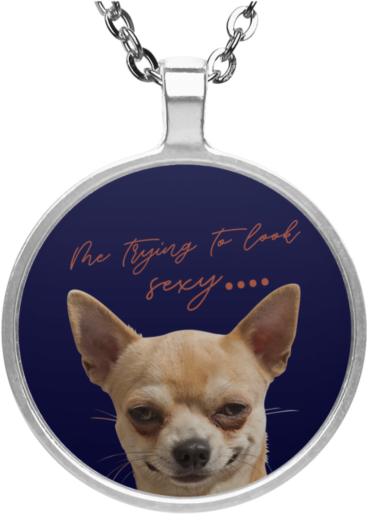Look At Me Chihuahua Necklaces Vota Color - Necklace (1024x1024), Png Download