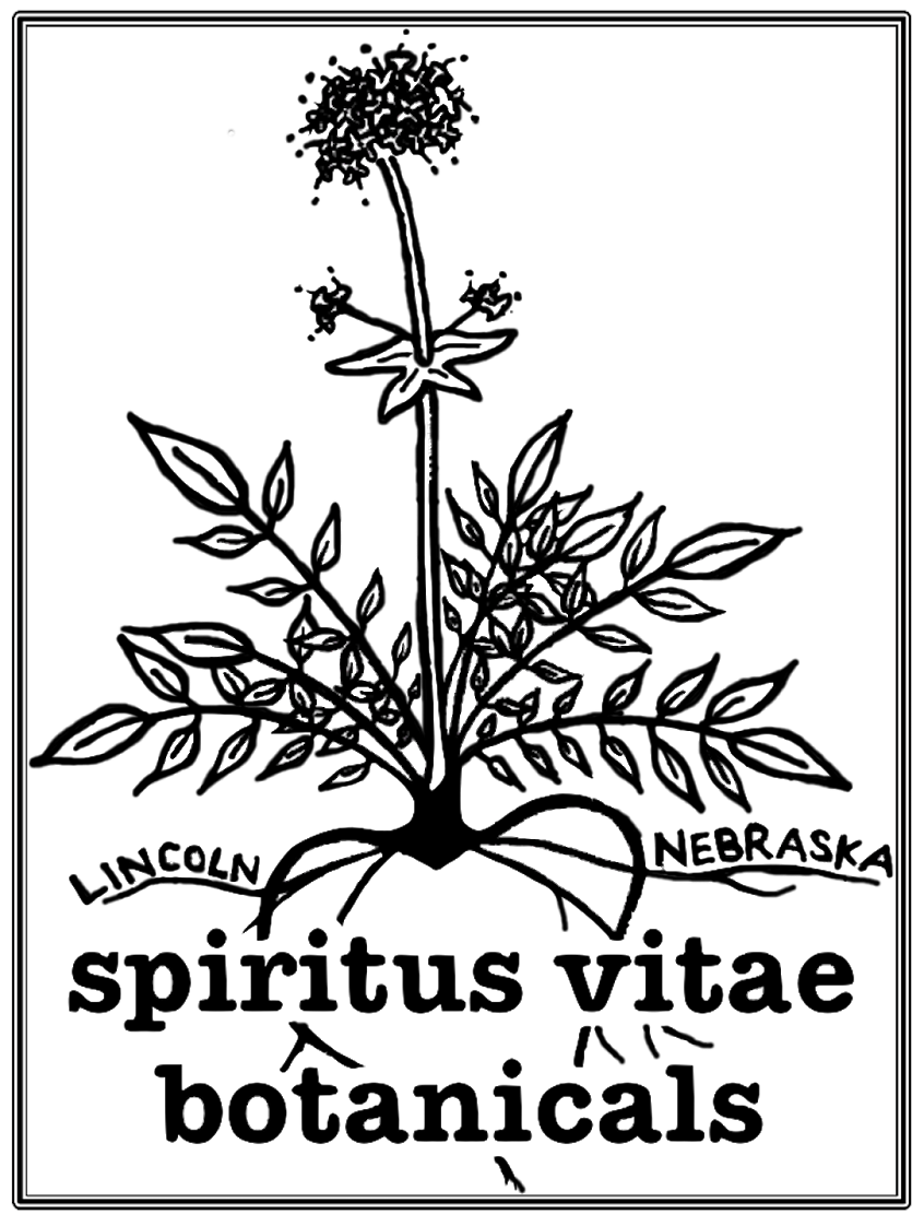 846 X 1122 2 - Floral Design (846x1122), Png Download