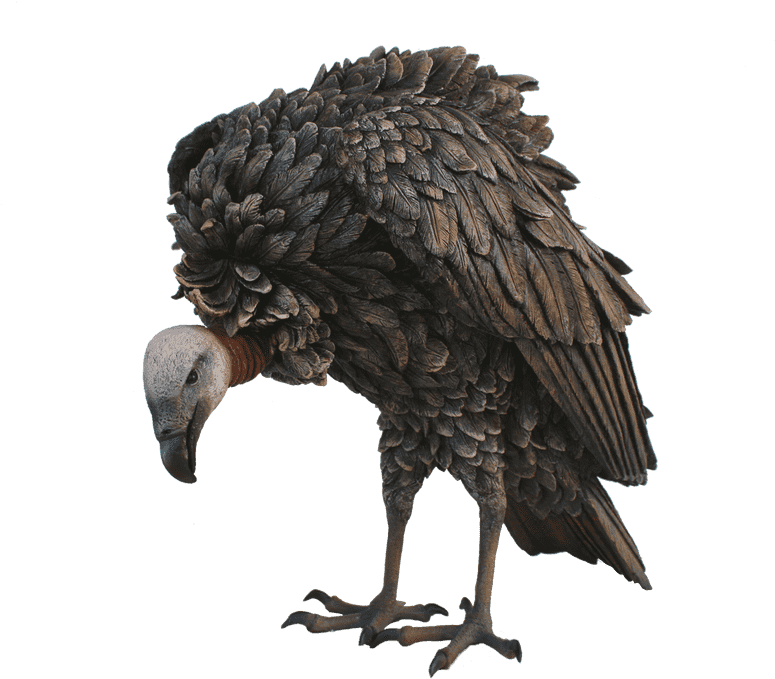 Bird Vulture Animal Prop Life Size Resin Statue - Vulture (1280x720), Png Download