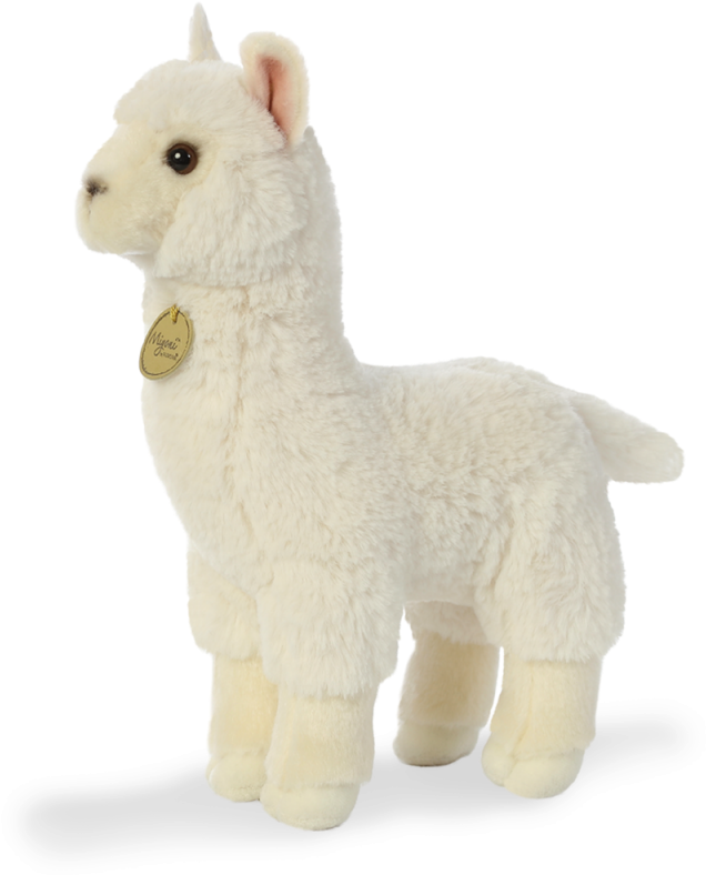 Alpaca - Llama (800x800), Png Download