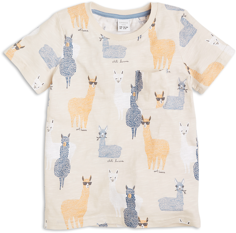 Lindex Mönstrad T-shirt, 99 Sek Alpaca Lama - Giraffe (888x888), Png Download