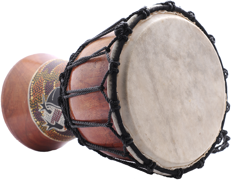 Percussion Percussion - Percussion (800x622), Png Download