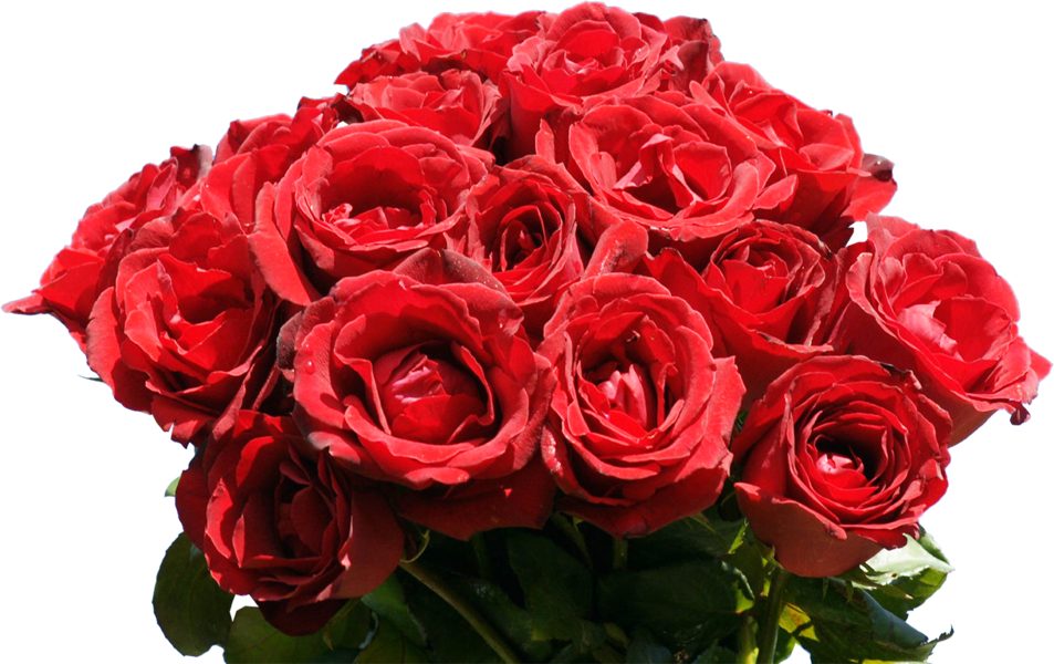 Share This Image - Red Roses (953x600), Png Download
