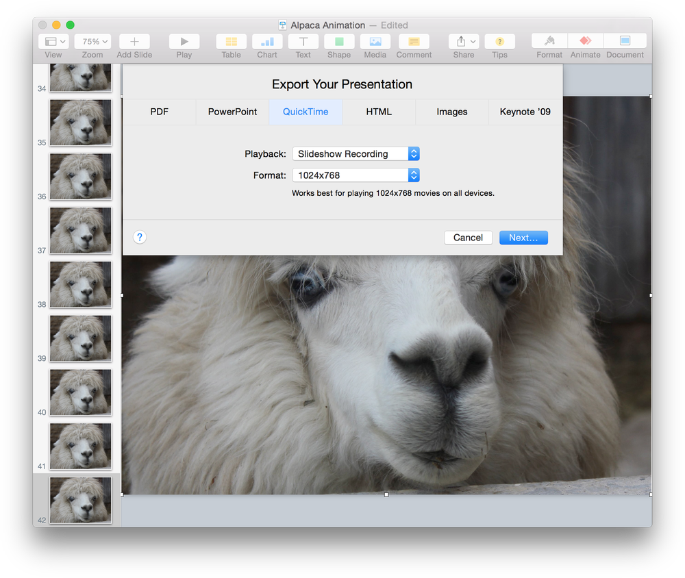 Screen Shot 2015 06 01 At - Llama (1000x844), Png Download