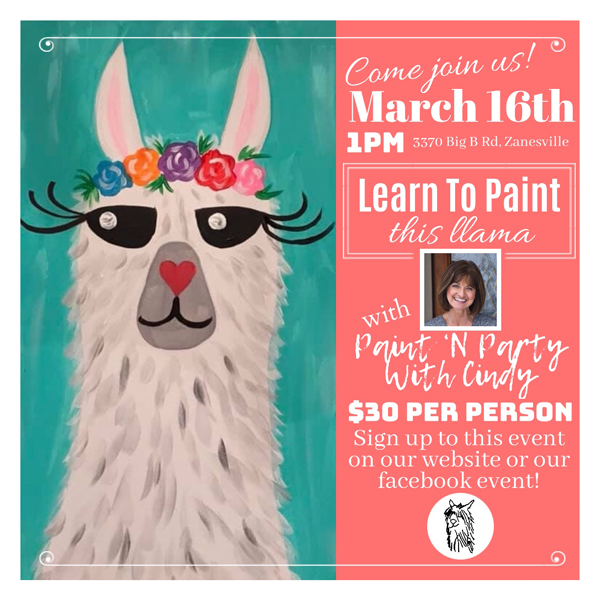 Sping Acres Alpacas Learn To Paint This Llama - Poster (600x600), Png Download