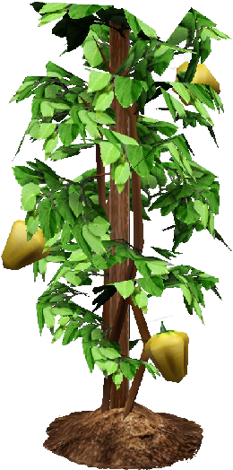 Bell Pepper Plant Png - Bell Pepper Plant Transparent (800x600), Png Download