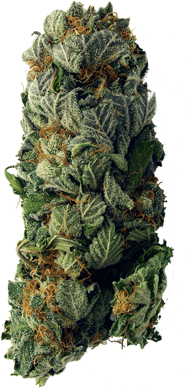 Weed Vertical 400 Min - Cbd Oil Meme Funny (400x774), Png Download