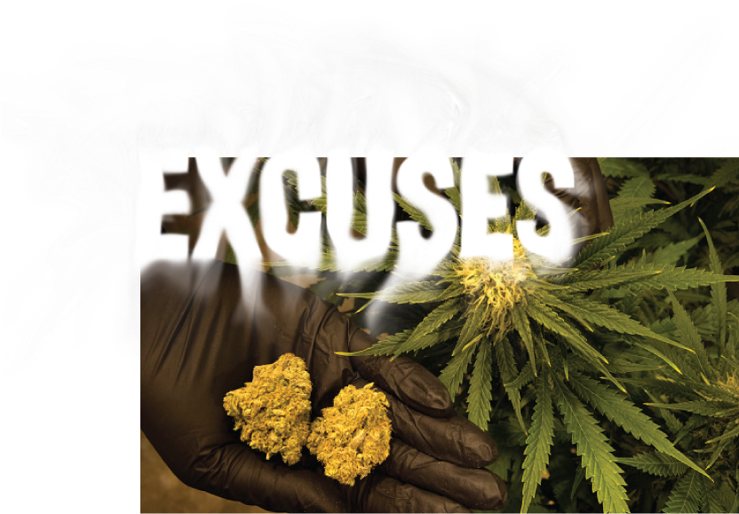 New Documents Reveal Why The Fda Says Marijuana Isn't - Cannabis (831x600), Png Download