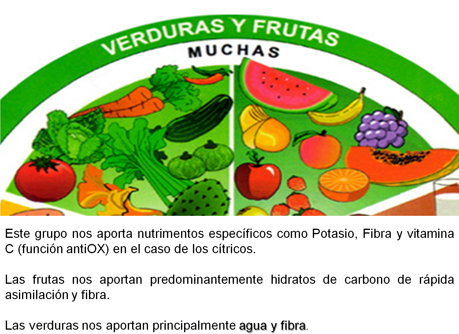 Para Que Tu Dieta Sea Correcta Asegura Consumir Alimentos - Seedless Fruit (1522x1098), Png Download