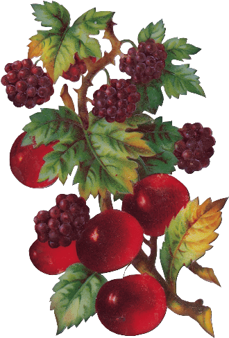 Zoom Diseño Y Fotografia - Portable Network Graphics (341x500), Png Download