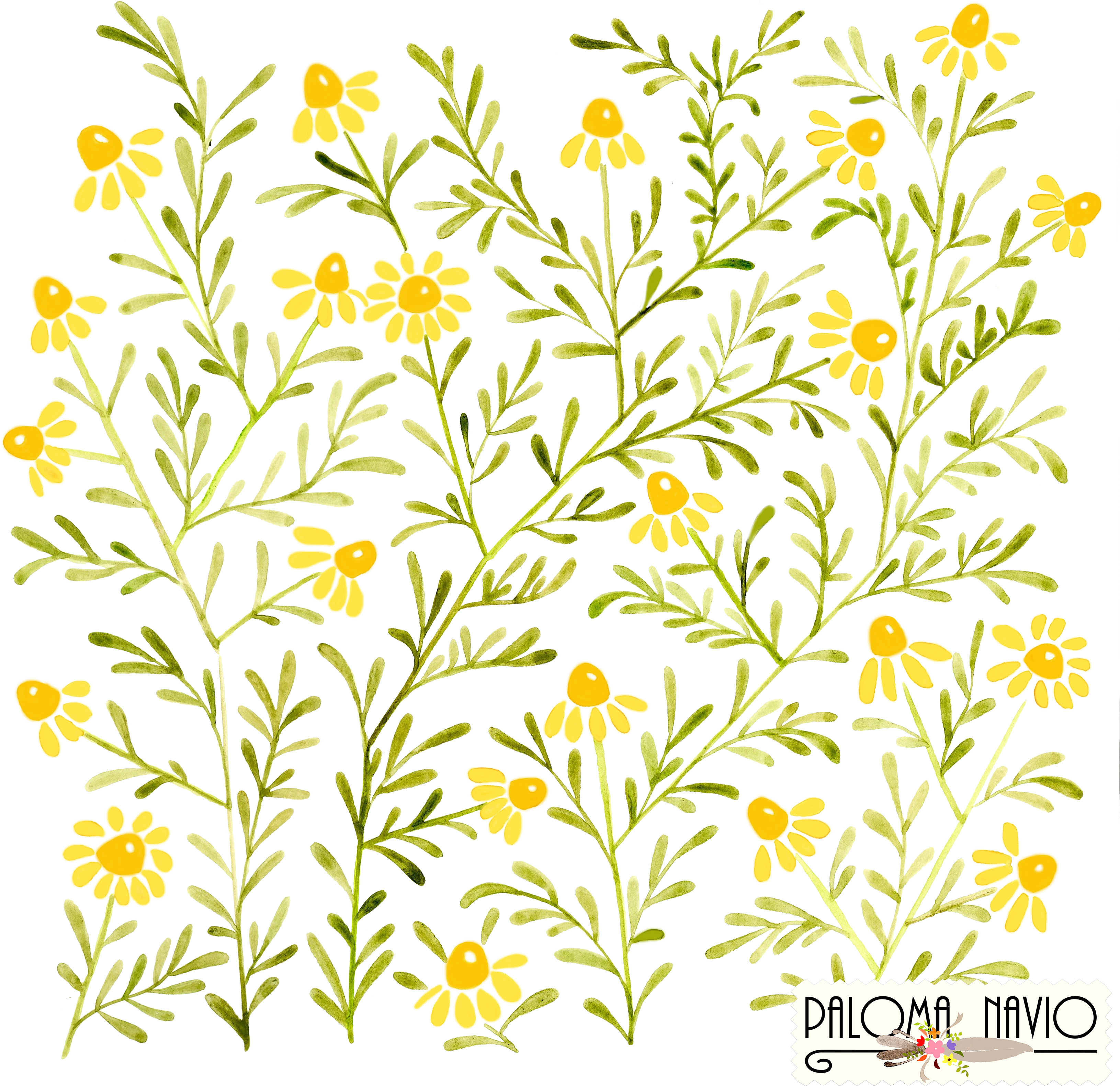 Wheat Clipart Watercolor - Acuarela Manzanilla (3328x3249), Png Download