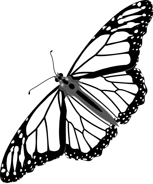 Monarch Butterfly Bw No Shadow Clip Art - Flying Monarch Butterfly Black And White (498x599), Png Download