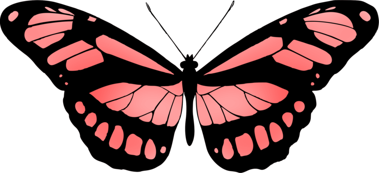 Monarch Butterfly Insect Brush-footed Butterflies Drawing - Red Butterfly Clipart (744x340), Png Download
