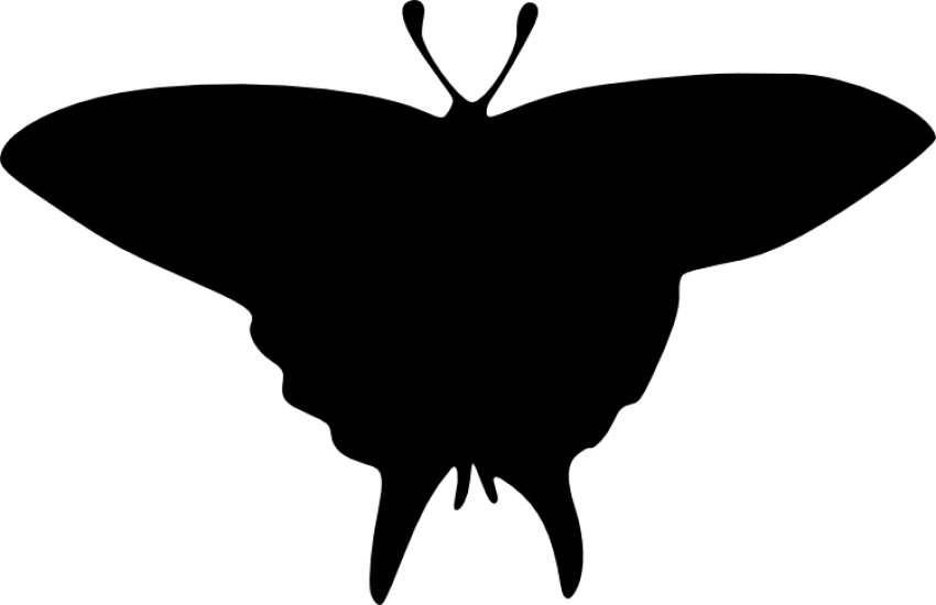Free Png Butterfly Silhouette Png Images Transparent - Portable Network Graphics (850x550), Png Download