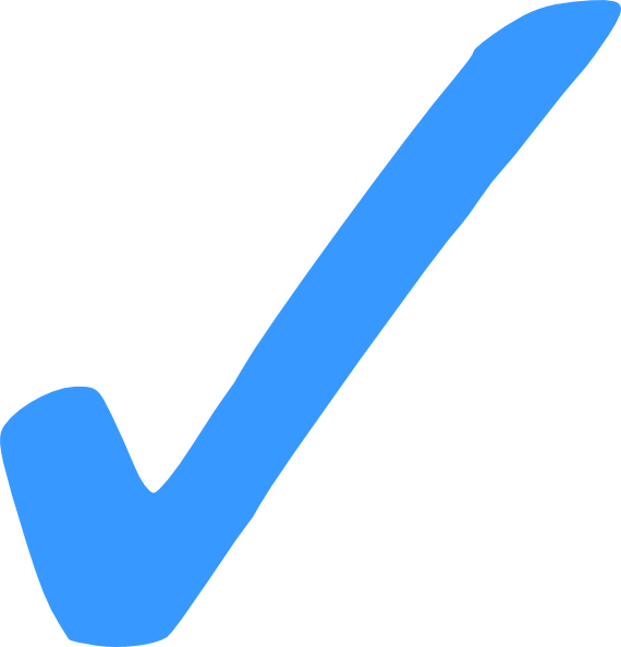 Small - Light Blue Check Mark (570x594), Png Download