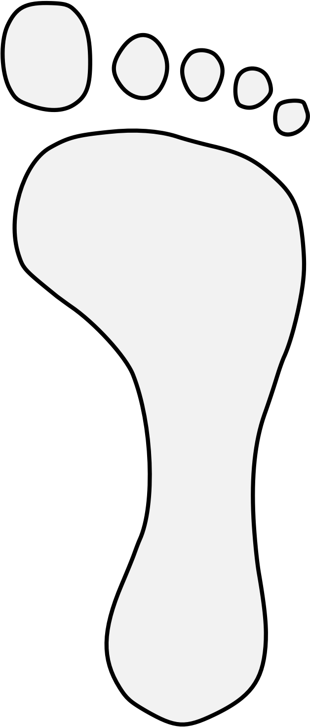 Details, Png (637x1474), Png Download