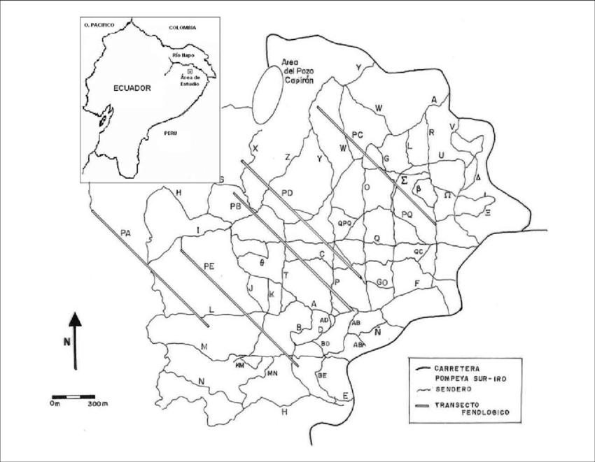 Sistema De Transectos Del Área De Estudio - System (850x661), Png Download