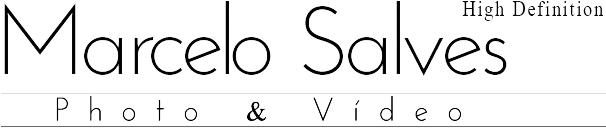 Cropped Logo Marcelo Salves Só Letras Png - Calligraphy (605x605), Png Download