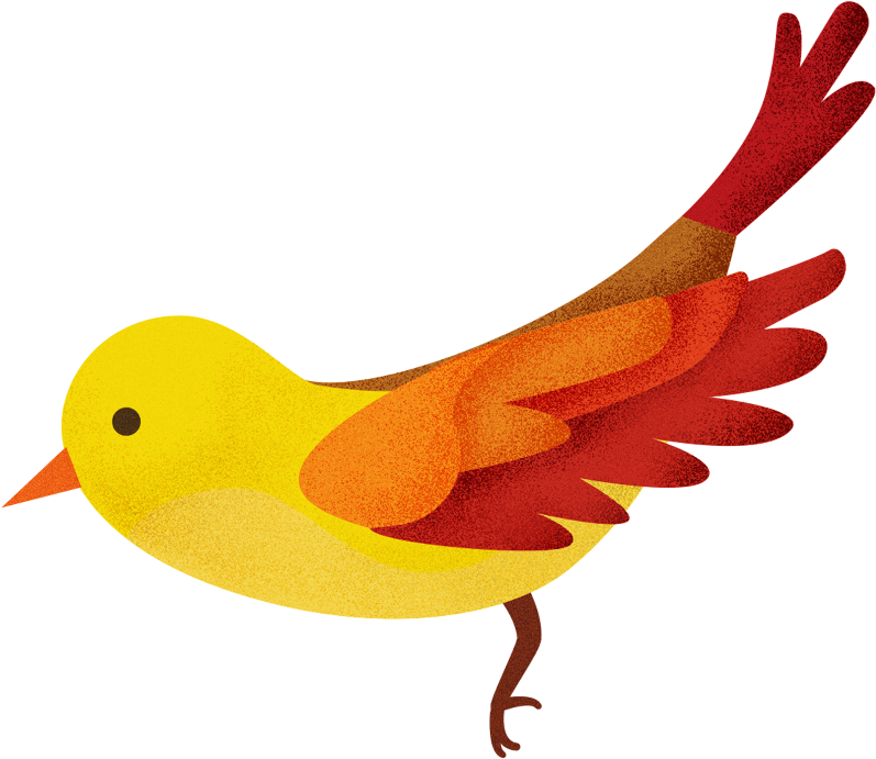 Patterns For The Inside Of Each Book I Created A Specific - Canary (1340x861), Png Download