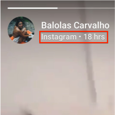 6 Sep - Animal (900x424), Png Download