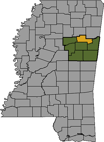 Counties - Golden Triangle Ms (415x566), Png Download