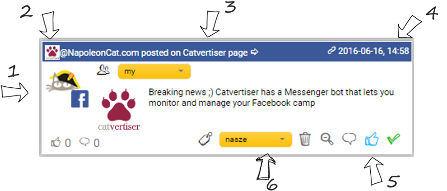 Facebook, Instagram And Twitter Content In One Social - Napoleon Cat (945x458), Png Download