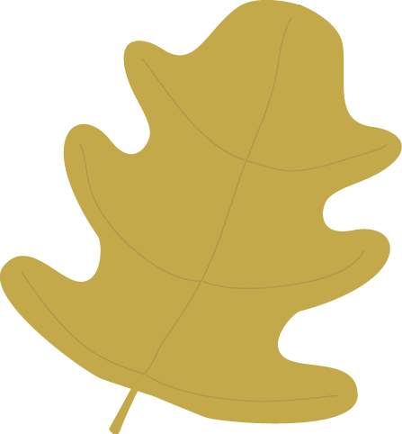 Fall Clip Art - My Cute Graphics Leaves (447x482), Png Download