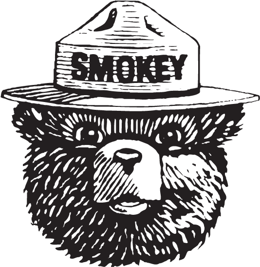 Smokey The Bear One Of The Most Recognizable American - Smokey The Bear Drawing (575x575), Png Download
