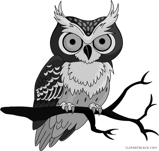 Cute Owl Clipart - Clip Art Owl Transparent (633x600), Png Download