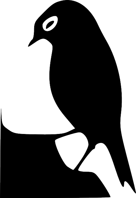 Black, Silhouette, Bird, Wings, Art, Beak, Feathers - Bird Silhouette (438x640), Png Download