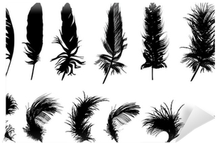 Twelve Black Feathers Isolated On White Background - Clementine And Claudia By Piper Milton (400x400), Png Download