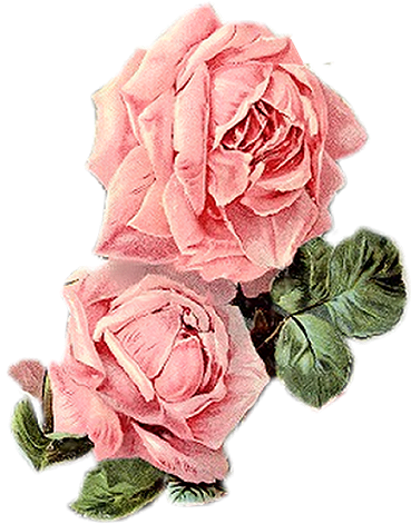 Paper Crafts Vintage Pieces For Collage/altered Art - Pink Flowers Vintage Png (539x521), Png Download