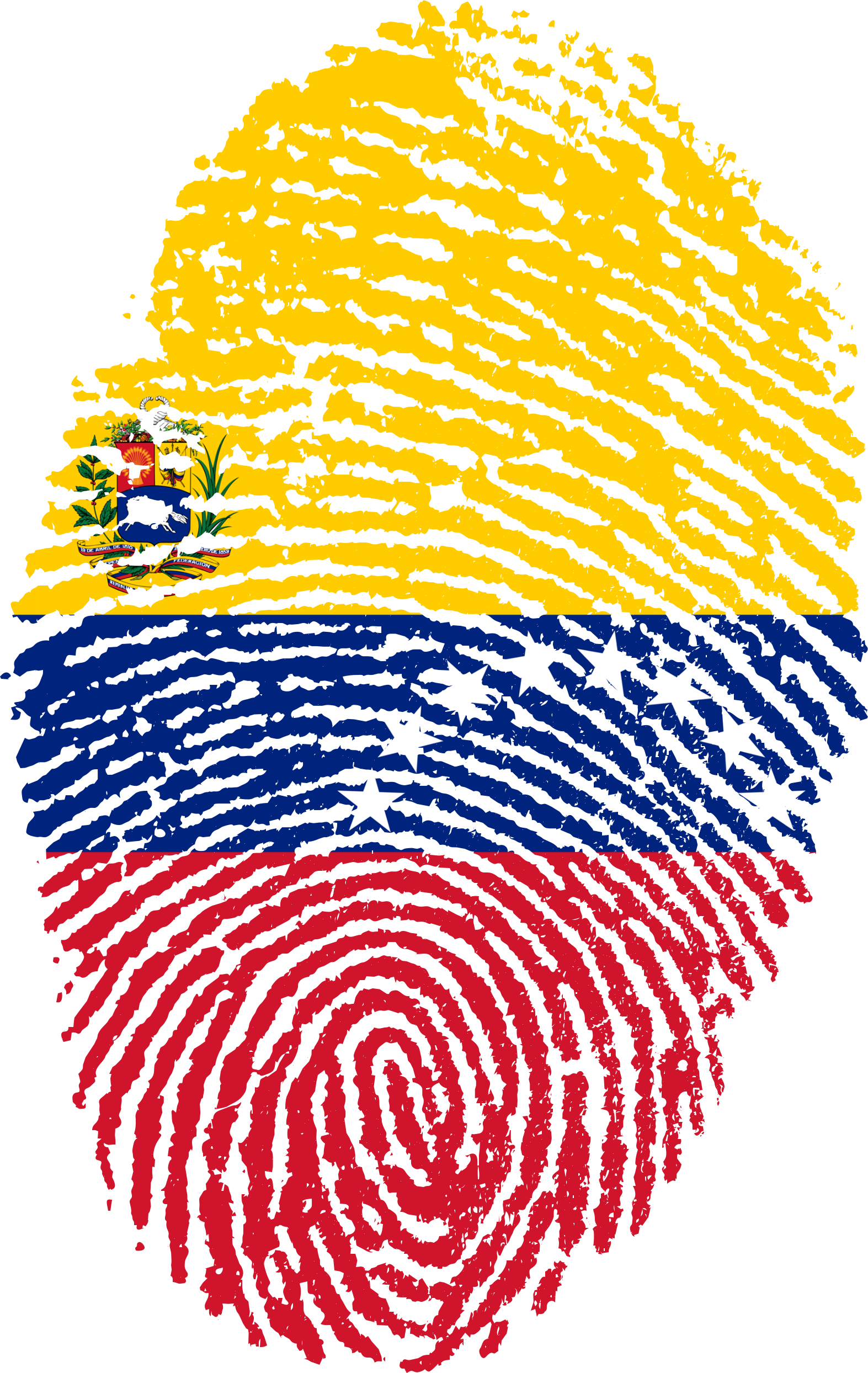 Business Opportunities In Venezuela - Venezuela Fingerprint (1573x2488), Png Download