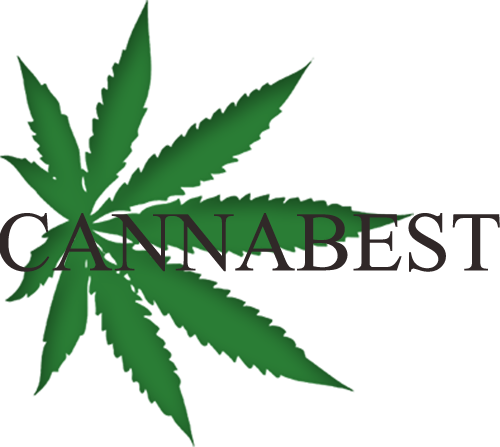 Home - Cannabis (500x447), Png Download