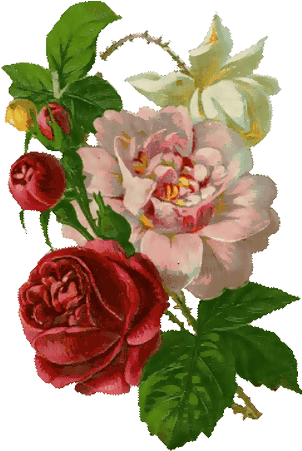 30 Vintage Roses For Scrap, Rose Png Beautiful Flowers - Victorian Era Roses Victorian (418x505), Png Download
