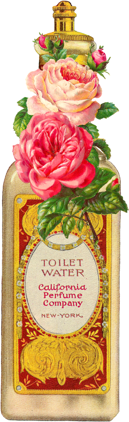 Digital Vintage Beauty Clip Art Downloads - Graphics (635x1600), Png Download