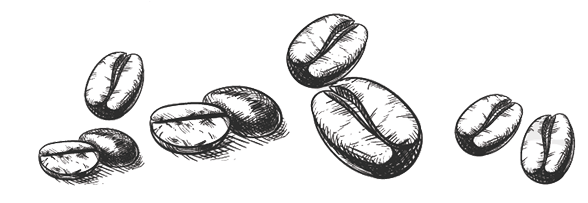 Moving Swiftly They Snapped Up The Opportunity And - Coffee Bean Illustration Png (600x202), Png Download